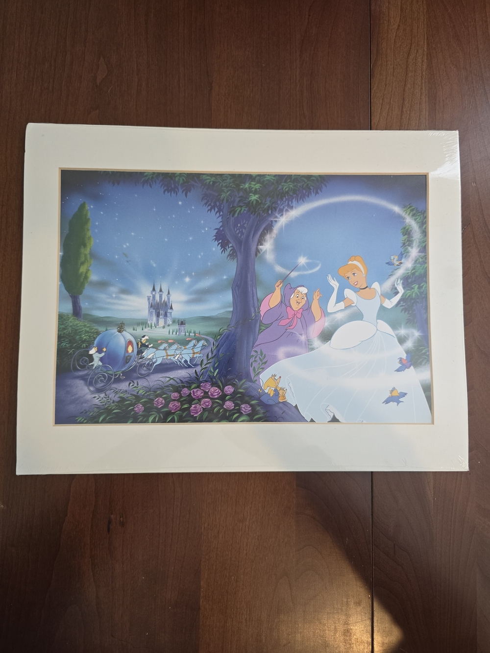 Disney Cinderella 'An Enchanted Evening' Matted Art Print, Brand New, 11" x 14"